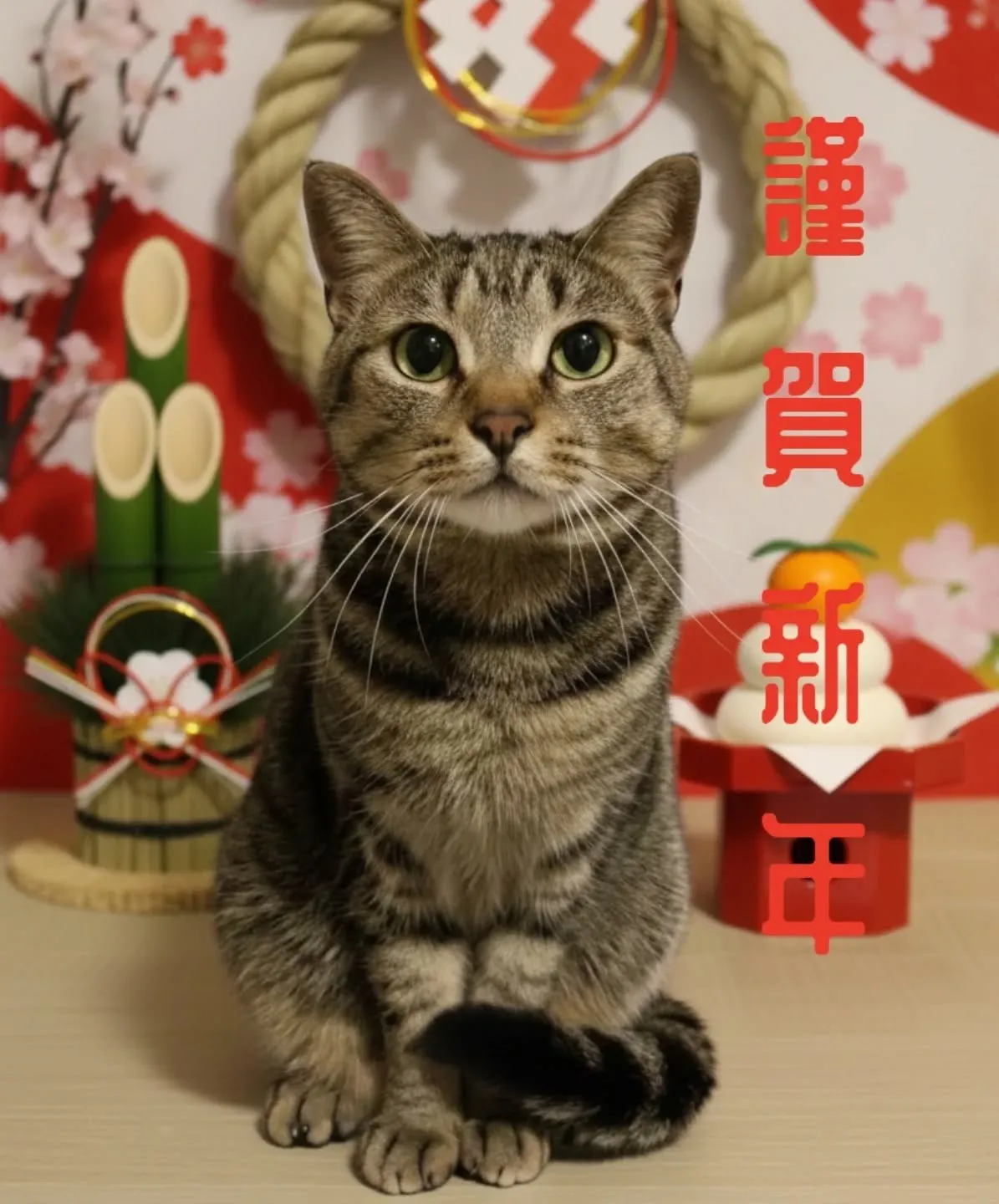 東京都|ハウスクリーニング